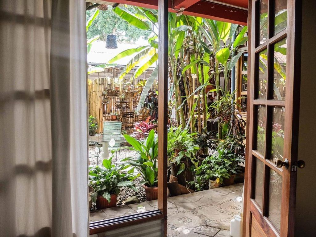 Casa De Palos Boutique تارابوتو المظهر الخارجي الصورة